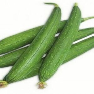 Tori or Ridge Gourd